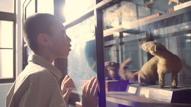 立志蓋博物館　　許文龍心願起源動人