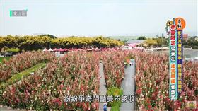 （圖／愛玩客）