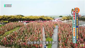 賞你一丈紅！連假鬆一波　瘋玩彰化！