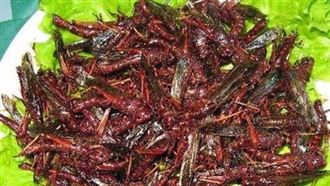 蝗蟲來襲免驚!以色列教你做環保料理