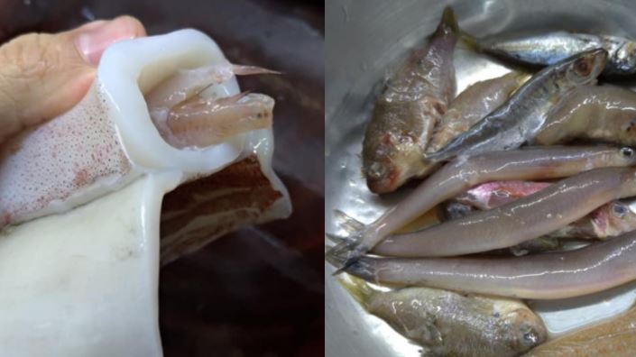 買6隻透抽　驚見「塞滿20條魚」