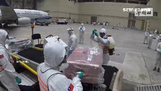 公主號旅客行李　隔離14天才能領