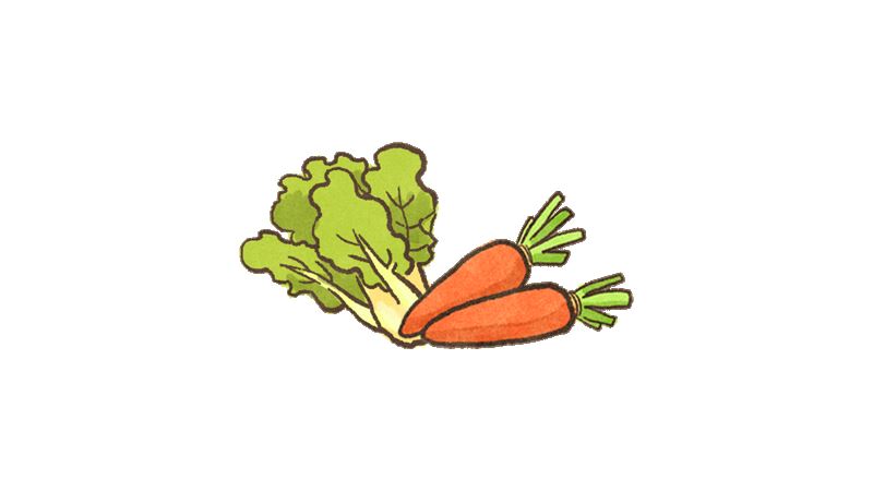家有挑食狗？教你超簡單手做鮮食