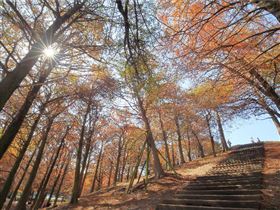 名家專用／台灣旅行趣（勿用）