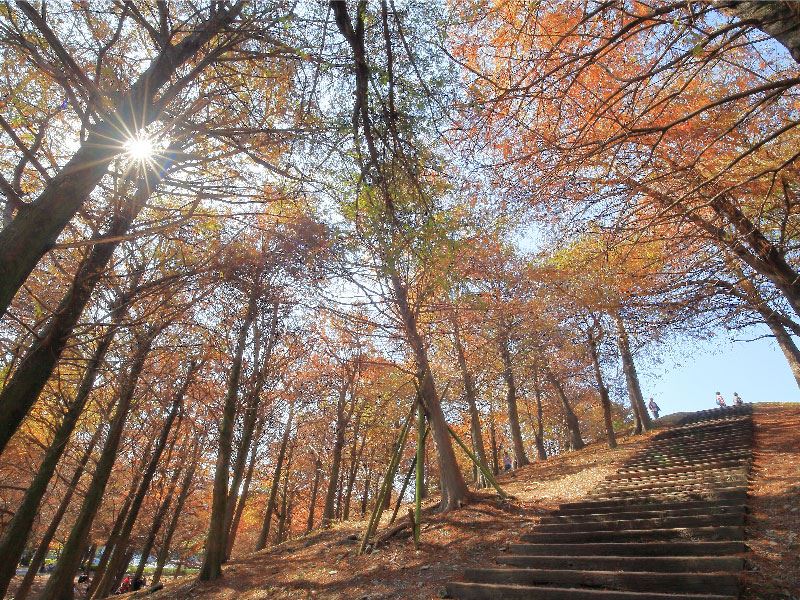 經典小鎮東部篇　出發小鎮旅行趣