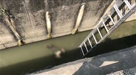 嘉義,太保,浮屍,塑膠假人