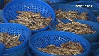 武漢肺炎擾中國出口　美國改買台灣薑