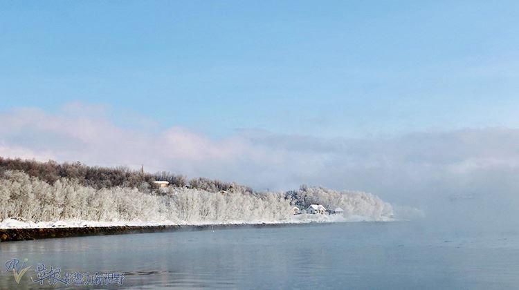被白雪覆蓋的冬季夢幻場景：挪威