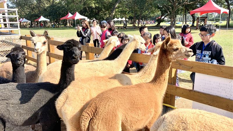 上午入園免費！228連假快來遊樂園