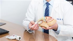 童綜合醫院,泌尿科,翁瑋駿,割包皮,包皮,龜頭
圖／童綜合醫院提供