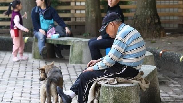 跌不償失 老人居家防跌5要點