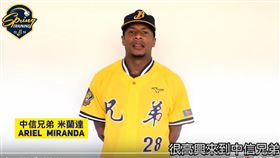 中信兄弟洋投米蘭達。（圖／中信兄弟提供）