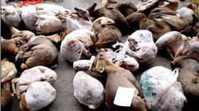 16:9
武漢肺炎發源地超噁照曝…海鮮市場暗賣野味　網：難怪出事
圖／翻攝自微信公眾號@多維面面觀