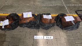 山老鼠竊取珍貴林木　警方攔截送辦