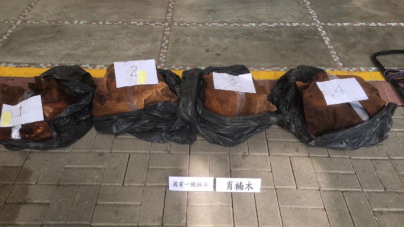 山老鼠竊取珍貴林木　警攔截圍捕