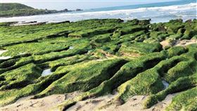 名家專用／台灣旅行趣（勿用）