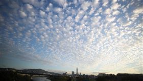 傍晚天空（1）中央氣象局指出，24日各地大多為多雲到晴的天氣，白天比起前幾天稍暖。圖為傍晚的天空，布滿了宛如棉花糖一般的雲朵。中央社記者張新偉攝　108年11月24日