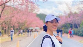 圖／記者谷庭攝,武陵農場櫻花