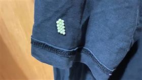 荔枝椿象,南投,老公,衣服,蟲卵(圖／翻攝自爆怨公社