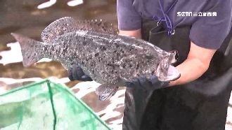 網傳吃淡水魚染肺炎　醫：煮熟吃就好