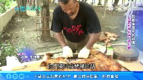 文 血友病回台1200