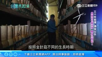 菇創新價值　永續資源為地球盡心力