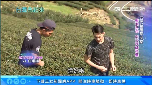 向父學茶藝！衝浪兄弟種出星級好茶