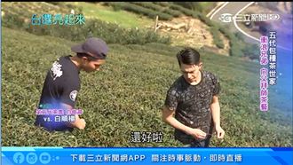 向父學茶藝！衝浪兄弟種出星級好茶