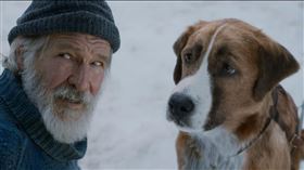 ▼▲（圖／迪士尼提供）《極地守護犬》