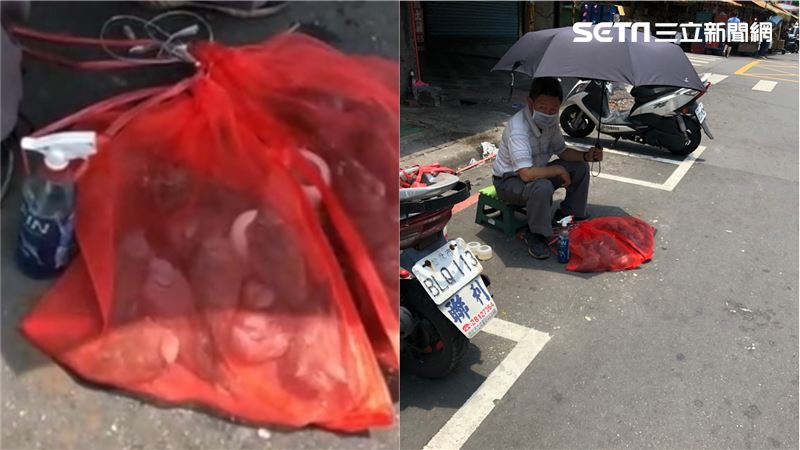 禁野味非常時期　阿伯路邊賣斑鳩惹議
