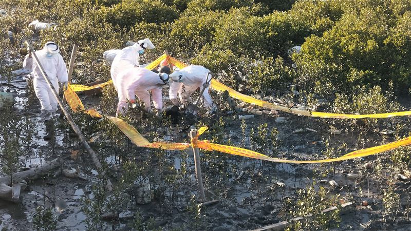 雲林海岸赫見豬屍　海巡啟動防疫機制