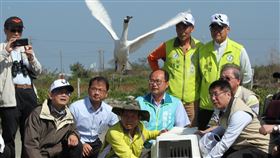肉毒桿菌中毒黑琵台南野放一隻黑面琵鷺因肉毒桿菌中毒，日前在台南市學甲濕地生態園區被救起，經救治康復後，26日由台南市長黃偉哲（前右）原地野放。中央社記者楊思瑞攝  109年2月26日