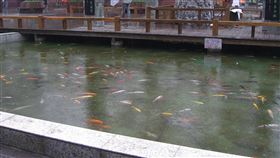 魚池
https://www.flickr.com/photos/avlxyz/2783256723/in/photolist-5eWVfT-4y75in-vBDi86-2gzECfJ-2c1GRXt-rFXKuv-Mpcr54-ptiw5X-st82h-G7Jxq-VHFURL-VE7BuD-JQmMzK-2hRj5ek-29odoBk-23PbL4d-qzgJWU-NLVM7F-orP5mK-