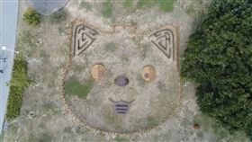 屬台南市古蹟景點的山上花園水道博物館為滿足攜帶寵物遊客需求，特別打造寵物友善園區。館方巧心設計，讓此區域從高空俯瞰時呈現狗臉圖案，讓網友大呼太可愛。