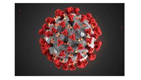 新型冠狀病毒（COVID-19）肺炎疫情蔓延，國家表演藝術中心旗下場館、樂團紛紛因應推出防疫措施。