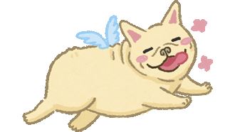 低卡無負擔　輕盈水果點點名