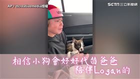 ▲Logan哭了出來，似乎讓它想起了去世的爸爸。（圖／AP／ttcreativemedia授權）