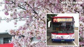 天元宮（記者陳弋攝影）