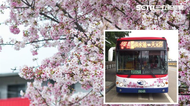 天元宮賞櫻公車上路　首班車上午8時