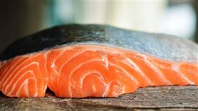 科學家27日發表研究指出，有一種已存活5.5億年的寄生蟲不用呼吸即可維繫生命，牠們寄生鮭魚，只吃現成養分就能活。（示意圖／圖取自Pixabay圖庫）
