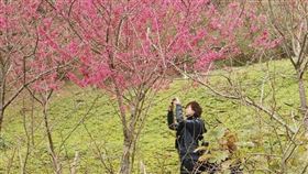 中央氣象局表示，28日起東北季風減弱，各地多為多雲到晴的天氣型態。3月2日東北季風增強，溫度下降。（中央社檔案照片）