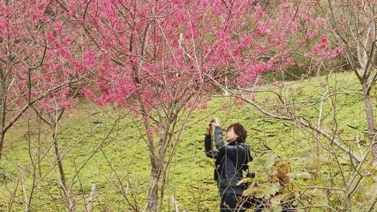 連假各地晴朗溫暖　3/2變天降溫