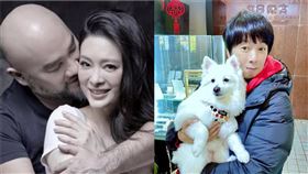 劉真,辛龍,曹西平／臉書