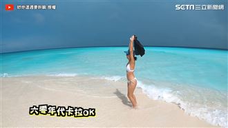 馬爾地夫絕美無人沙洲！和海豚共游