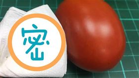 小番茄,沙拉,好市多,衛生紙(翻攝自 Costco好市多 商品經驗老實說)