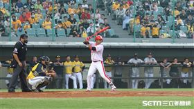 ▲公辦熱身賽味全龍中信兄弟謝榮瑤徐若熙曾陶鎔羅傑斯龍象大戰。（圖／記者劉彥池攝影）