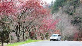 ▲武陵農場（圖／謮者吳昭嬉提供）