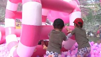 好玩又好拍！埔心牧場粉紅球池來了