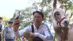 K必一下 埔心迷你驢18001