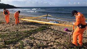 墾丁,大灣,浮屍